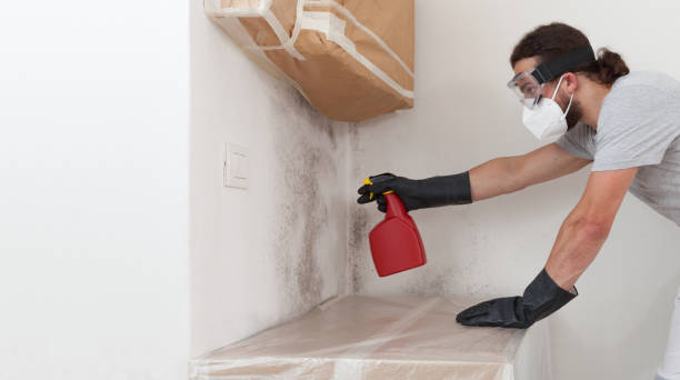 Professional Crawl Space Mold Removal technician working in Richland, MI