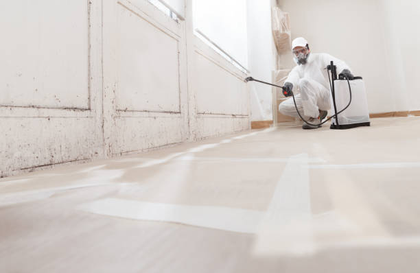 24/7 Emergency Crawl Space Mold Removal experts in Richland, MI